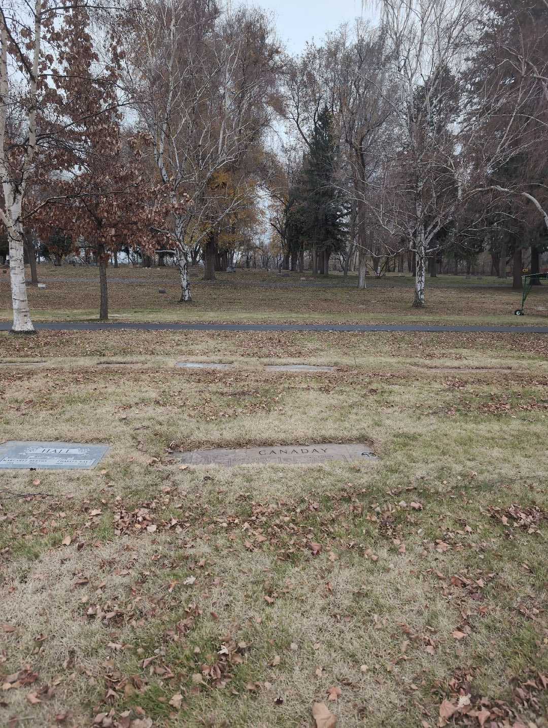 Lewis Halleck Canaday's grave. Photo 2