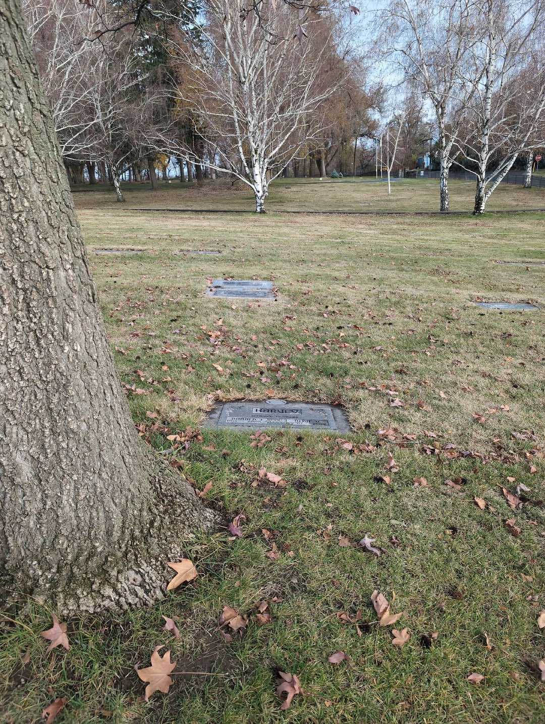 Donald J. Harvey's grave. Photo 2