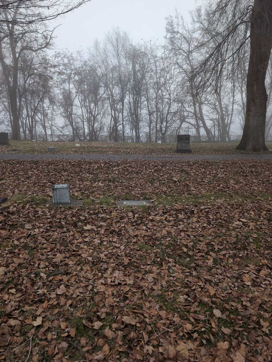 William N. Sanders's grave. Photo 2