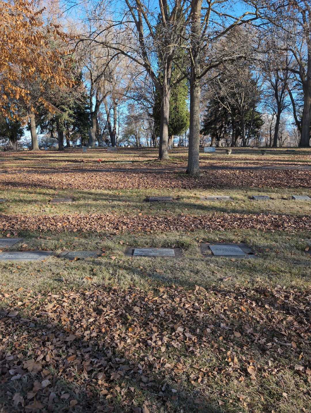 Wiliam E. Parsons Junior's grave. Photo 2