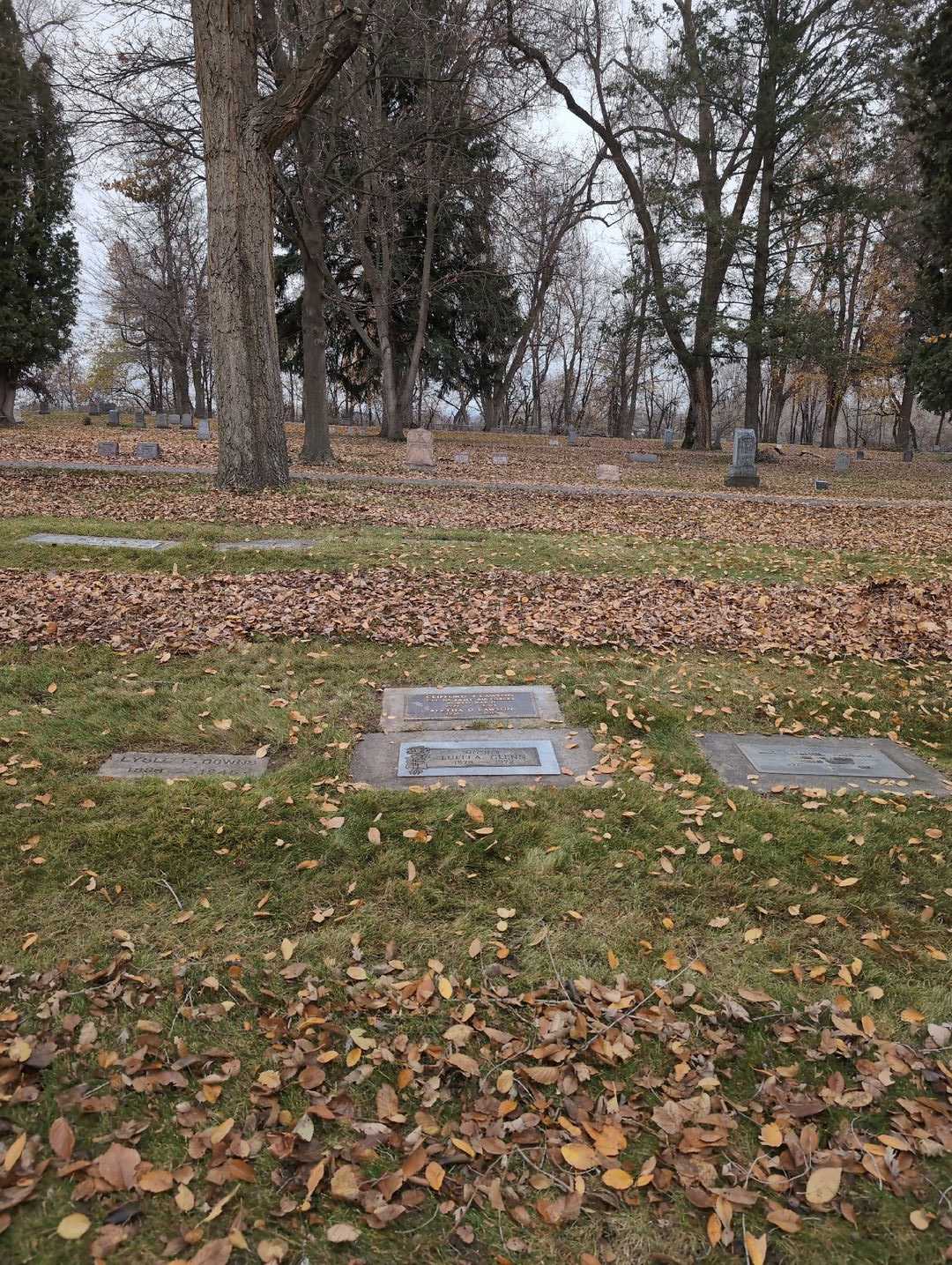 Aletha D. Lawson's grave. Photo 4