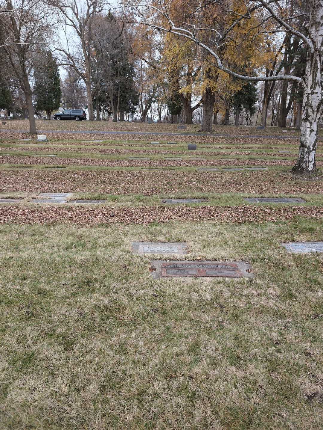 Leona Zickuhr's grave. Photo 4