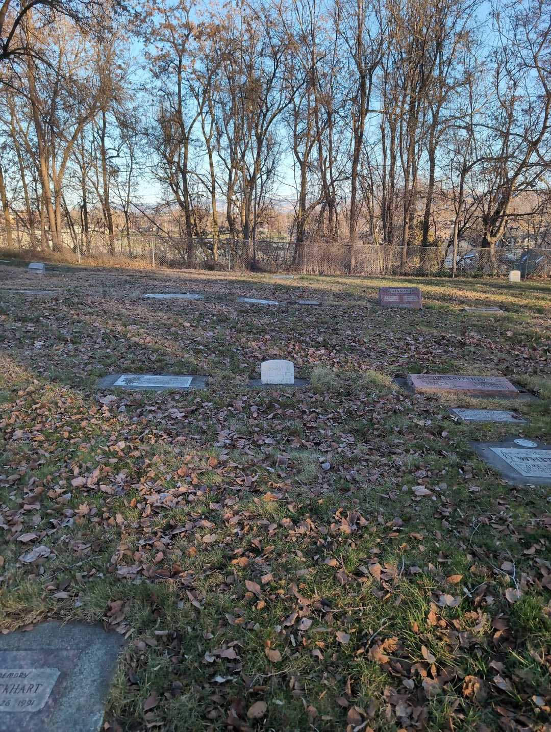 Ernest Lee MacLafferty's grave. Photo 2