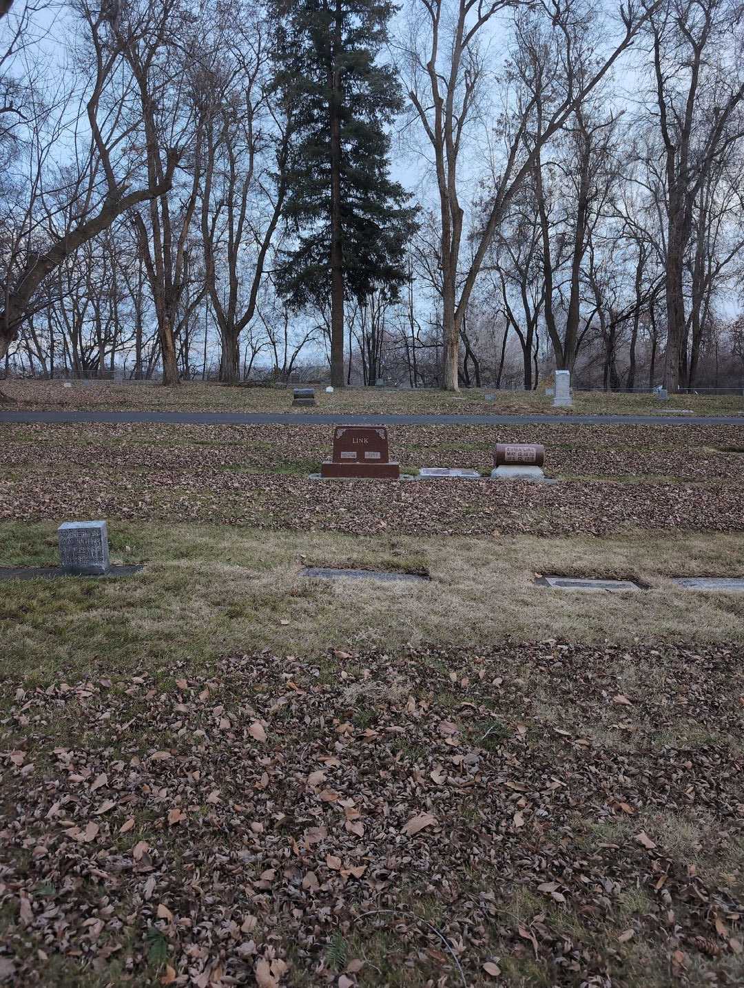 Chrystal C. Dammrose's grave. Photo 2