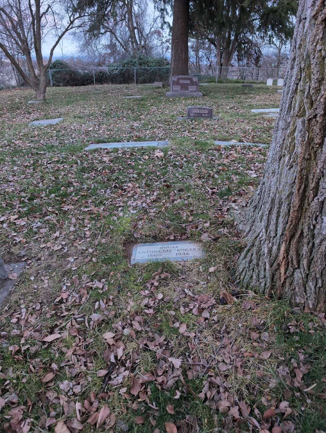 Antonette Clarissa Rogers's grave. Photo 2