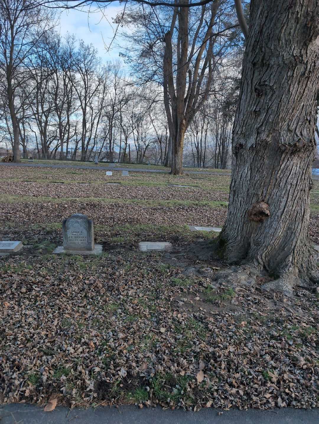 Vera Meda Carnahan's grave. Photo 2