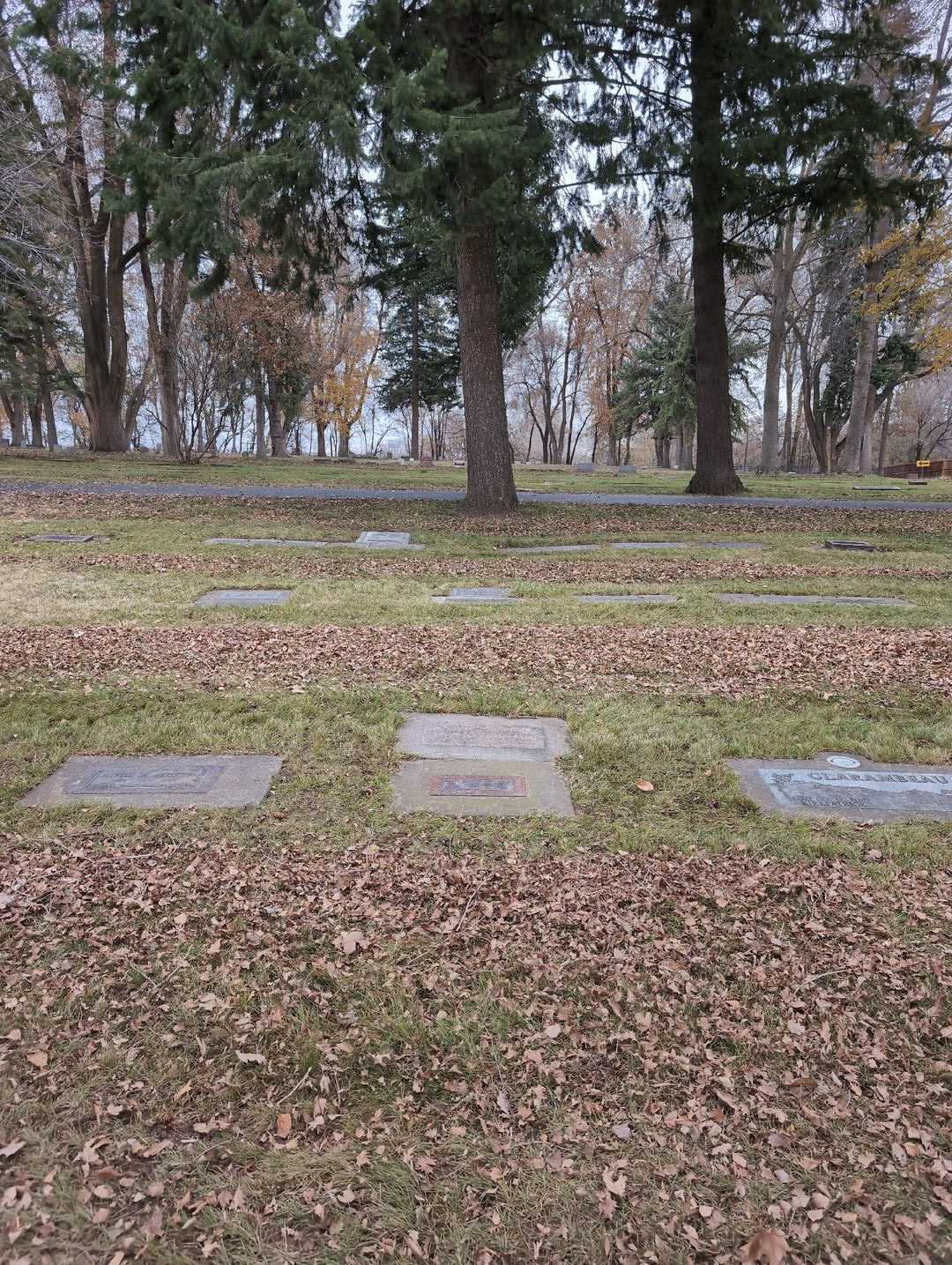 Sharon Thompson's grave. Photo 3