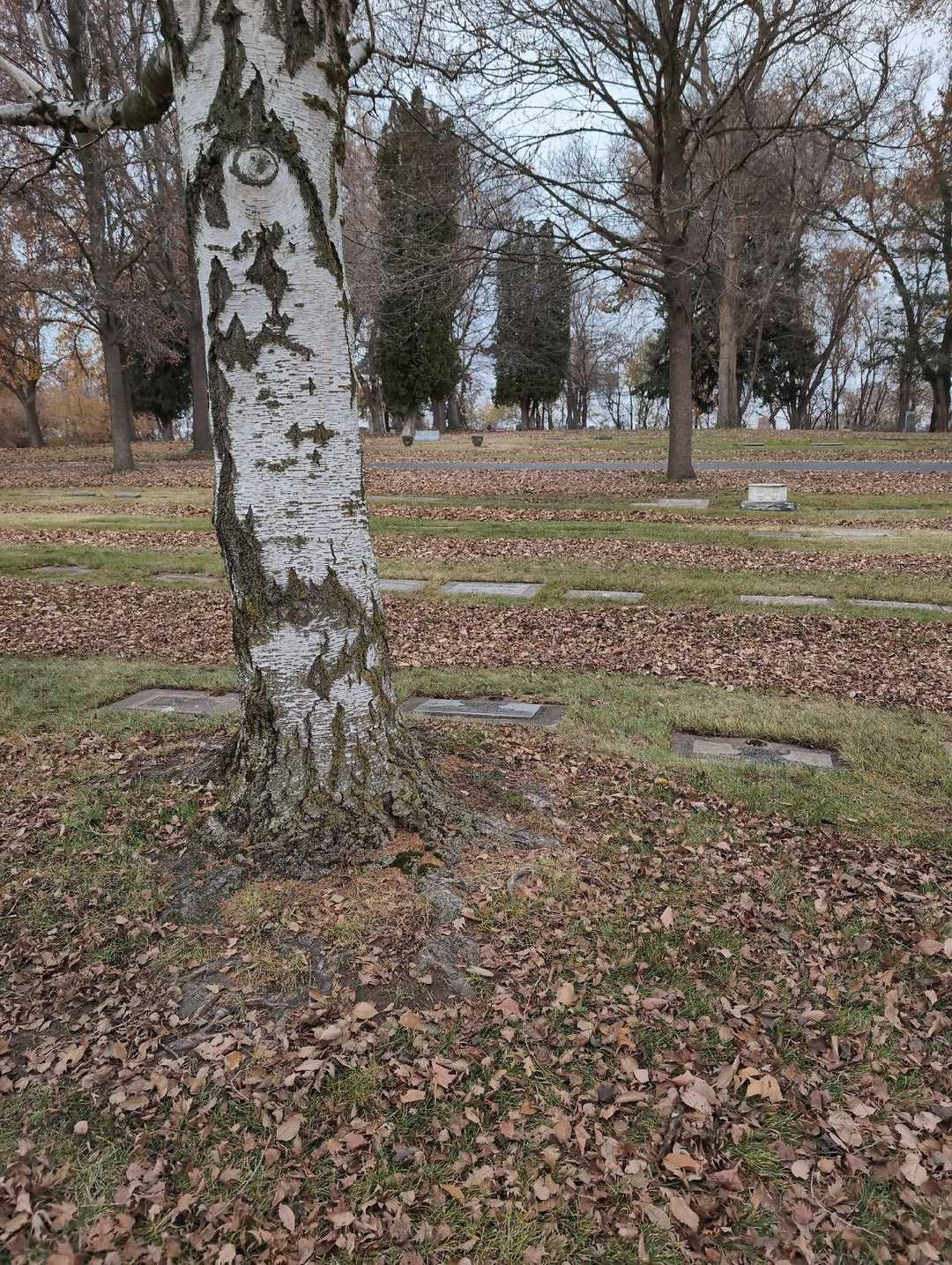 William Dahlquist's grave. Photo 2