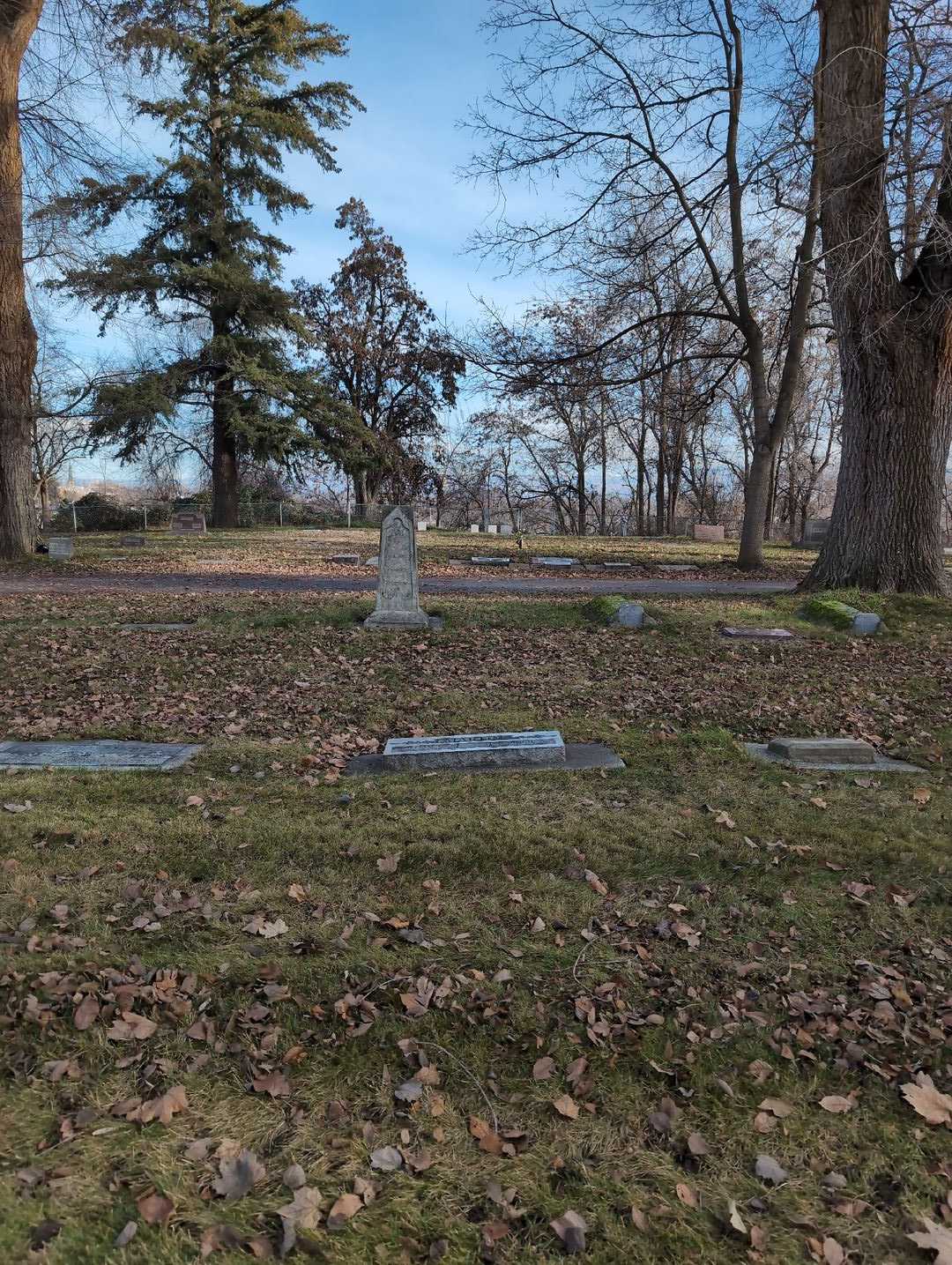 William F. Martin's grave. Photo 2