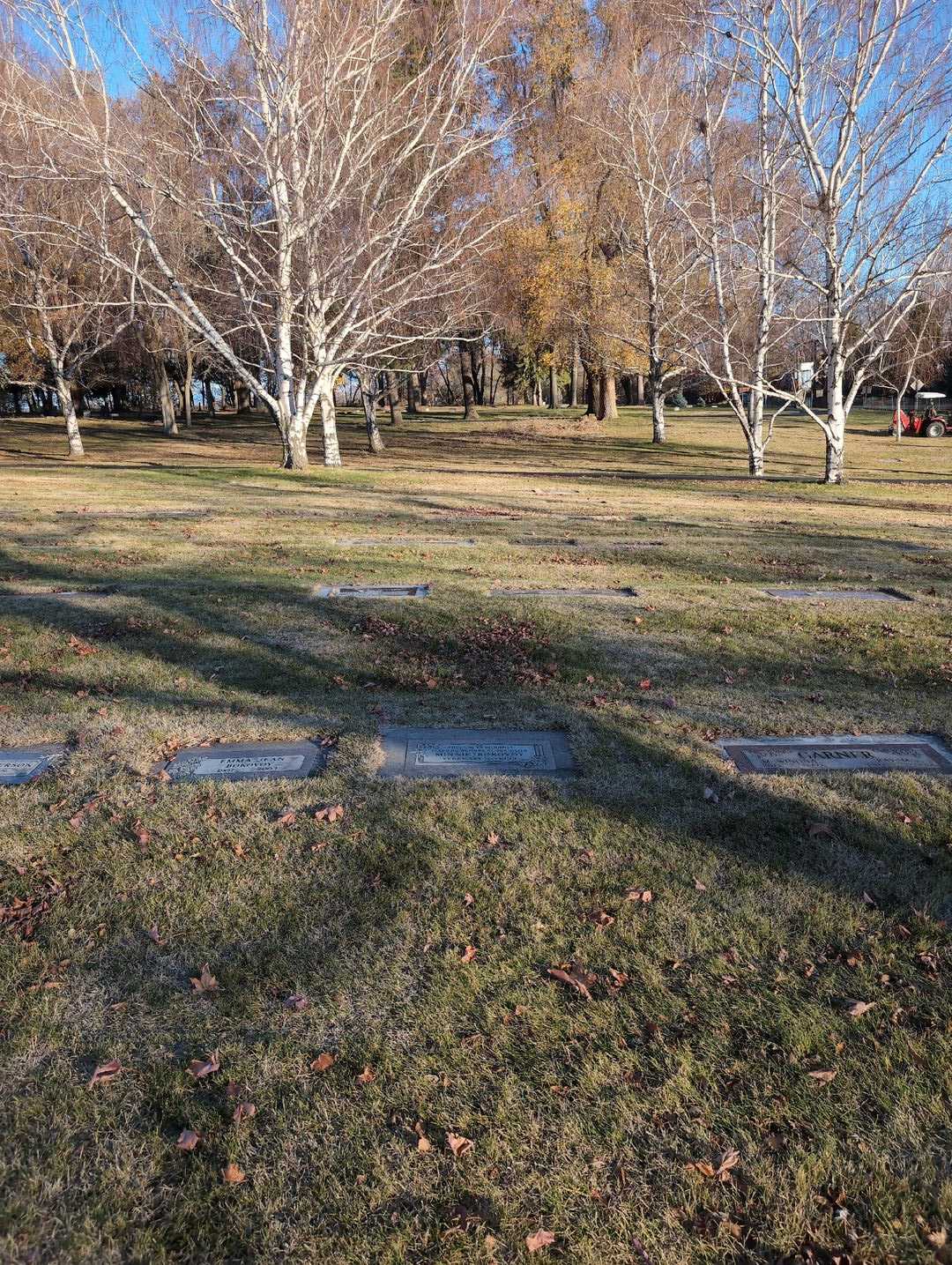 Minnie Bokovoy's grave. Photo 2