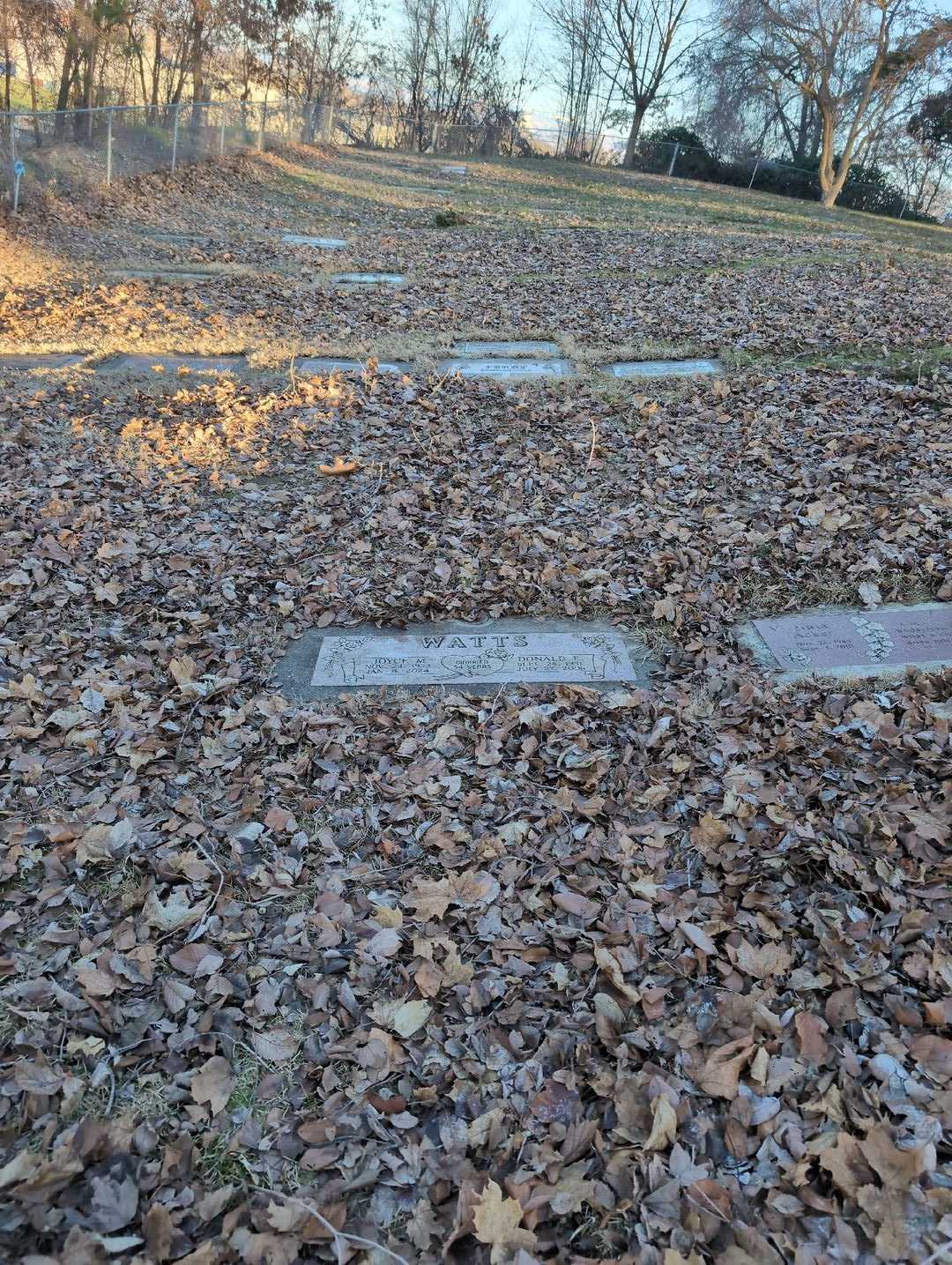 Joyce M. Watts's grave. Photo 2
