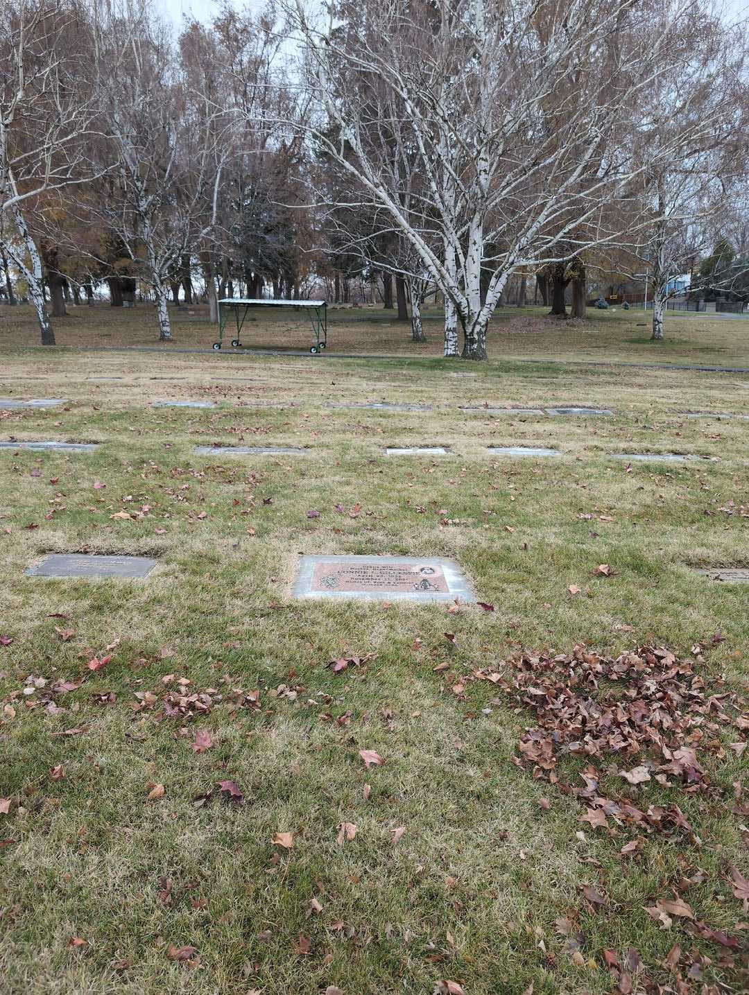 Connie L. Gillespie's grave. Photo 2