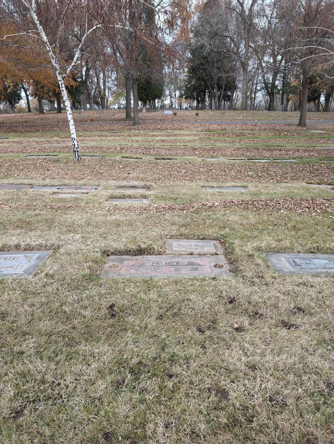 Daniel William "Dan" Palmer's grave. Photo 2