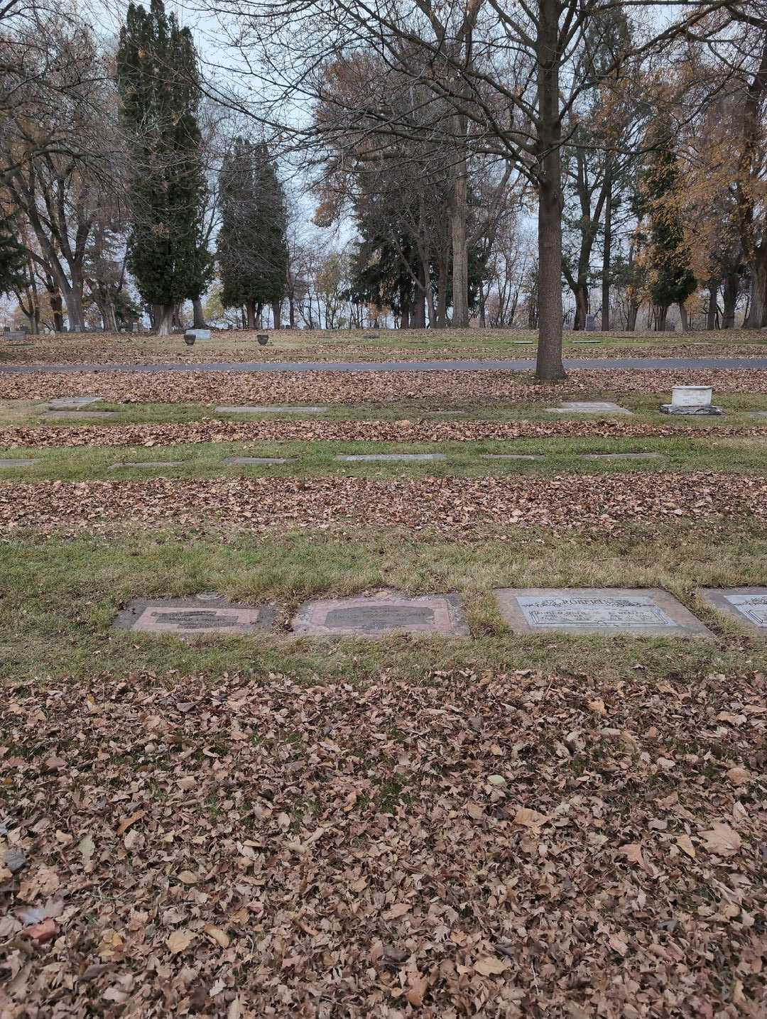 Enid C. Higgins-Allaway's grave. Photo 2