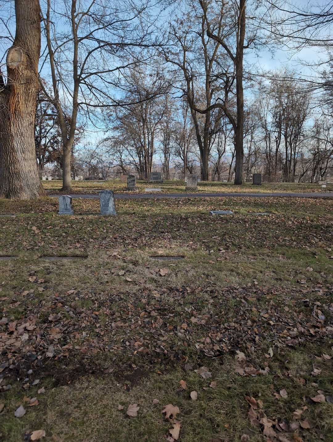 Jane H. Prindle's grave. Photo 2
