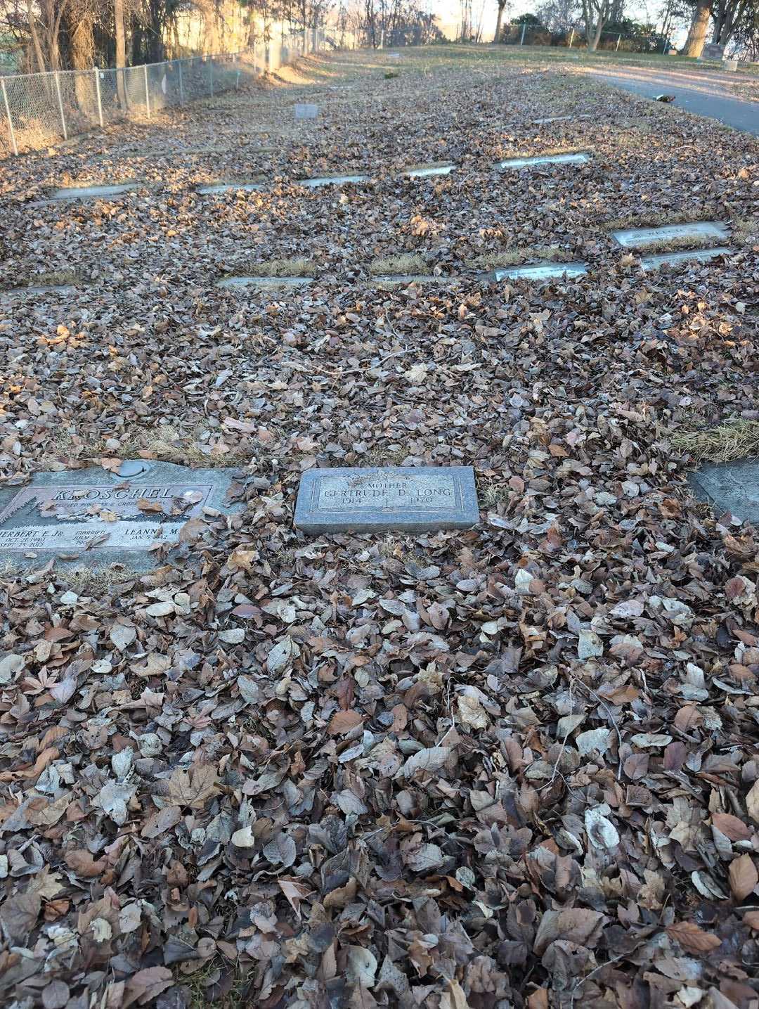 Gertrude D. Long's grave. Photo 2