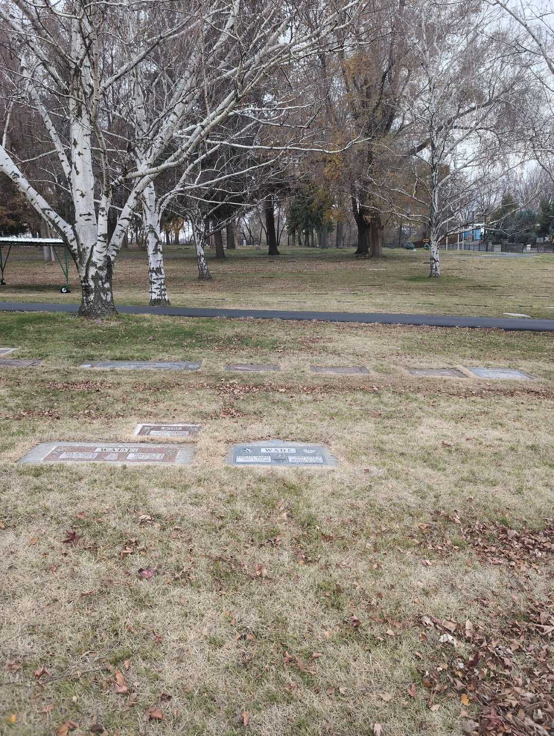 James Lee Wade's grave. Photo 2