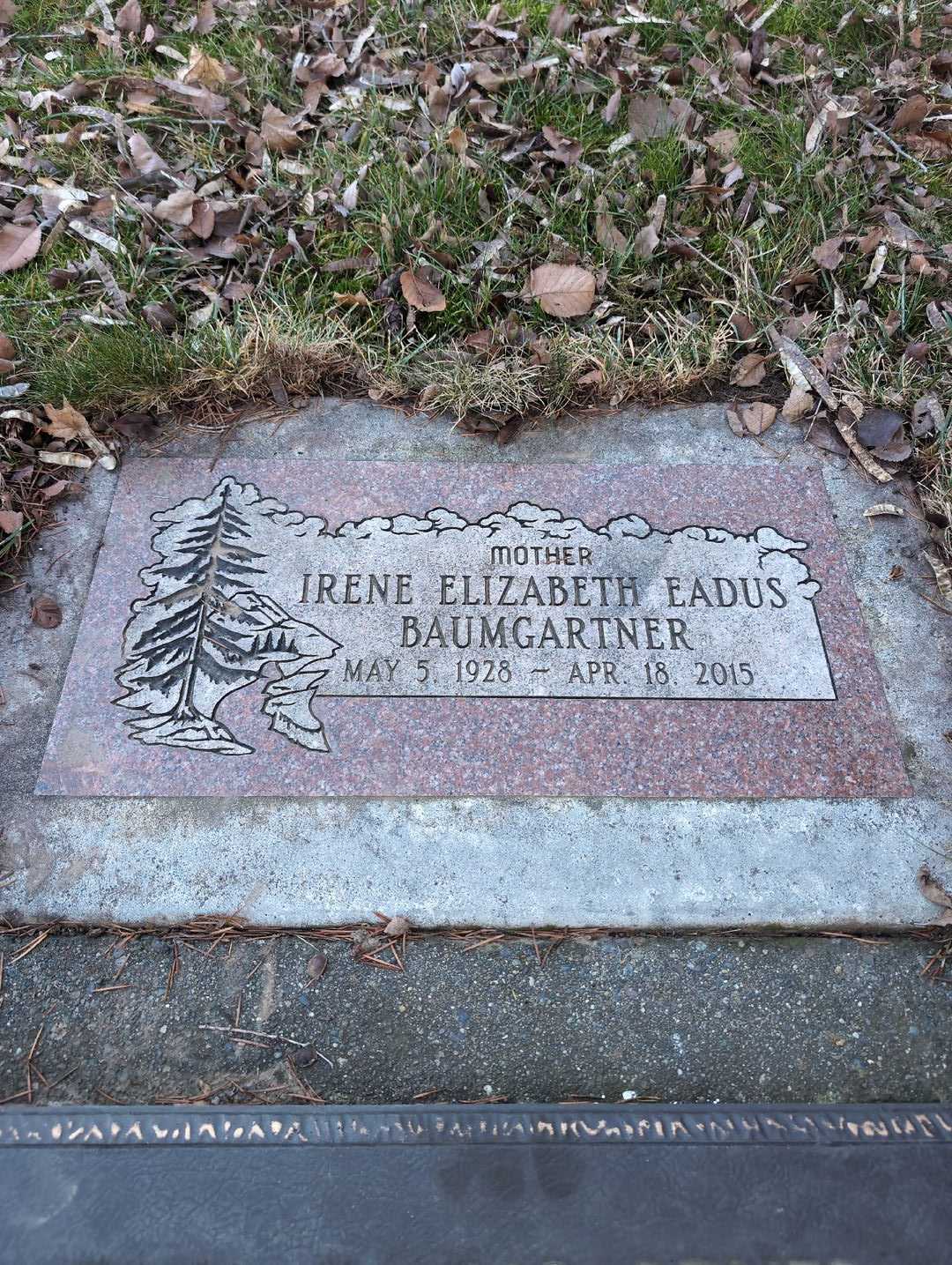 Irene Elizabeth Eadus Baumgartner's grave. Photo 5