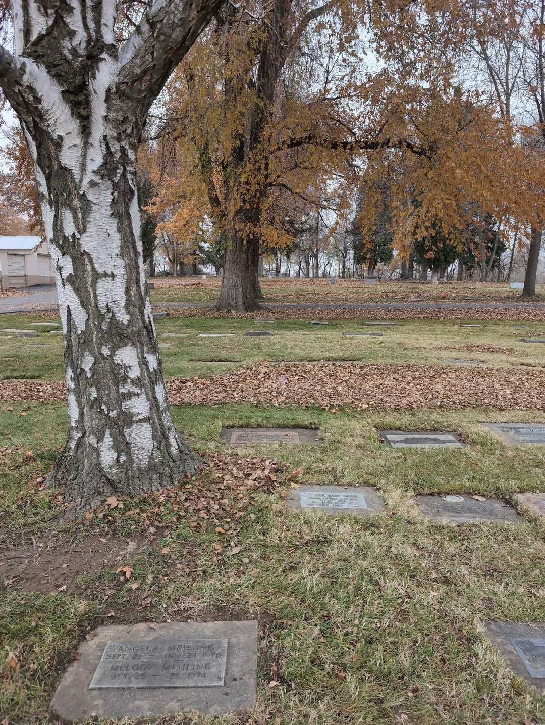 Helen E. Bokovoy's grave. Photo 2