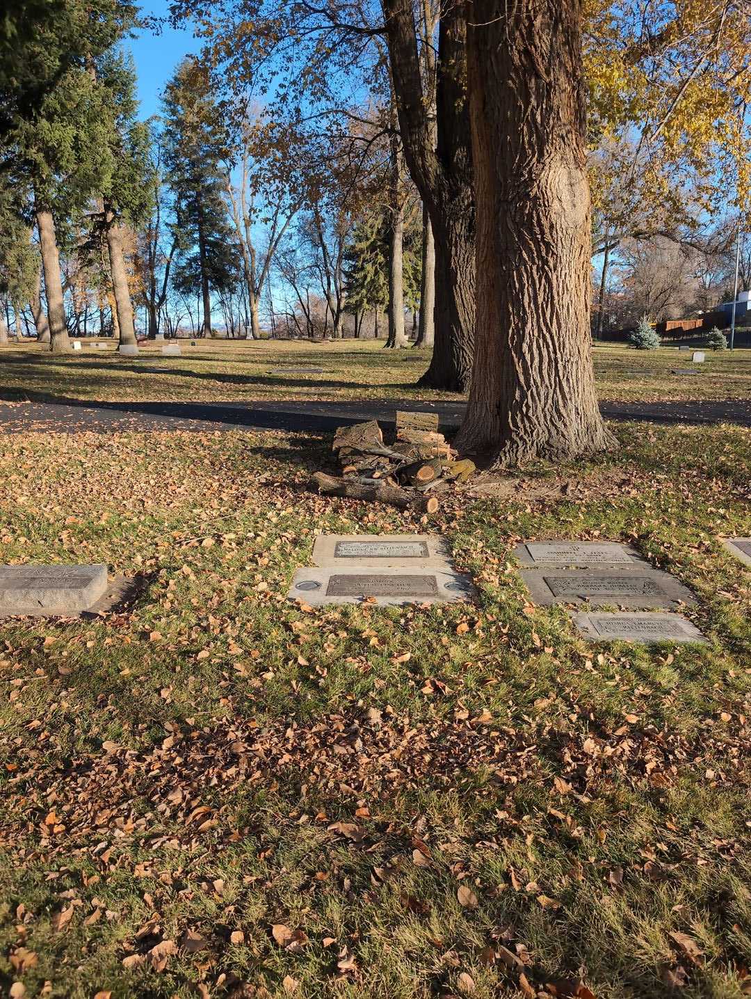 Melodie Joy Rittenbach's grave. Photo 2