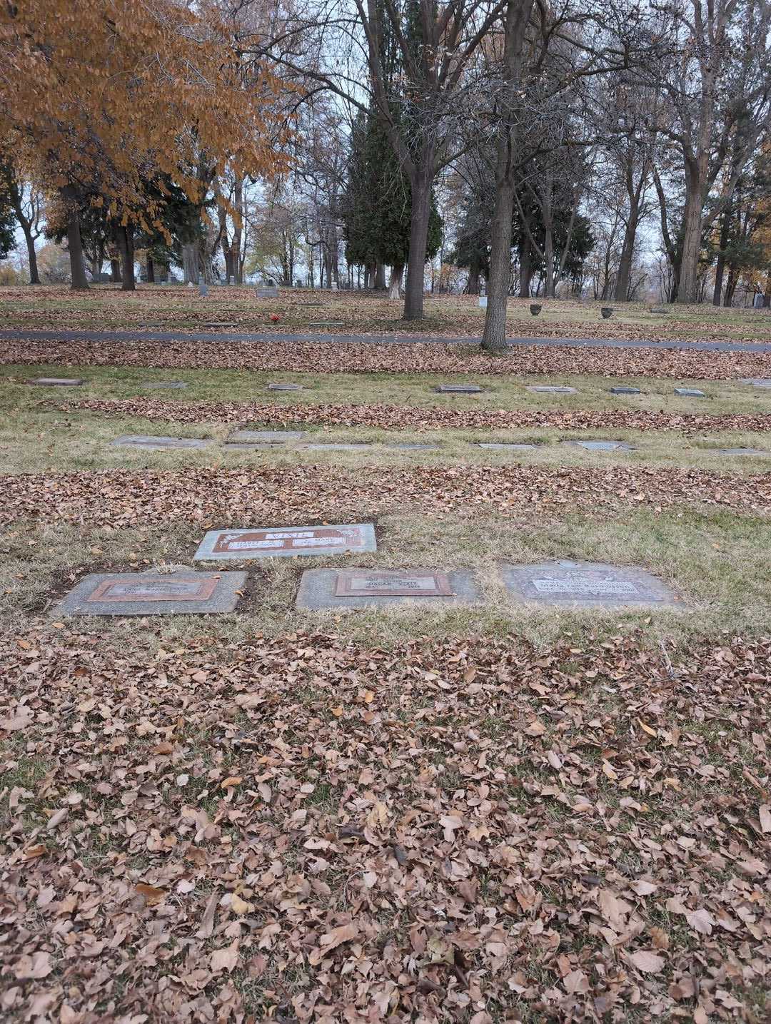 L. Mary Vixie's grave. Photo 4
