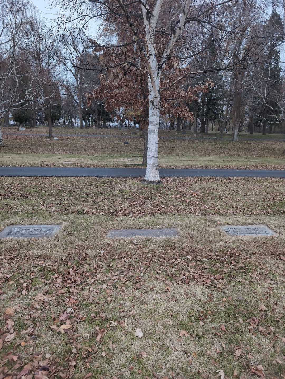 Alice E. Sanders's grave. Photo 3