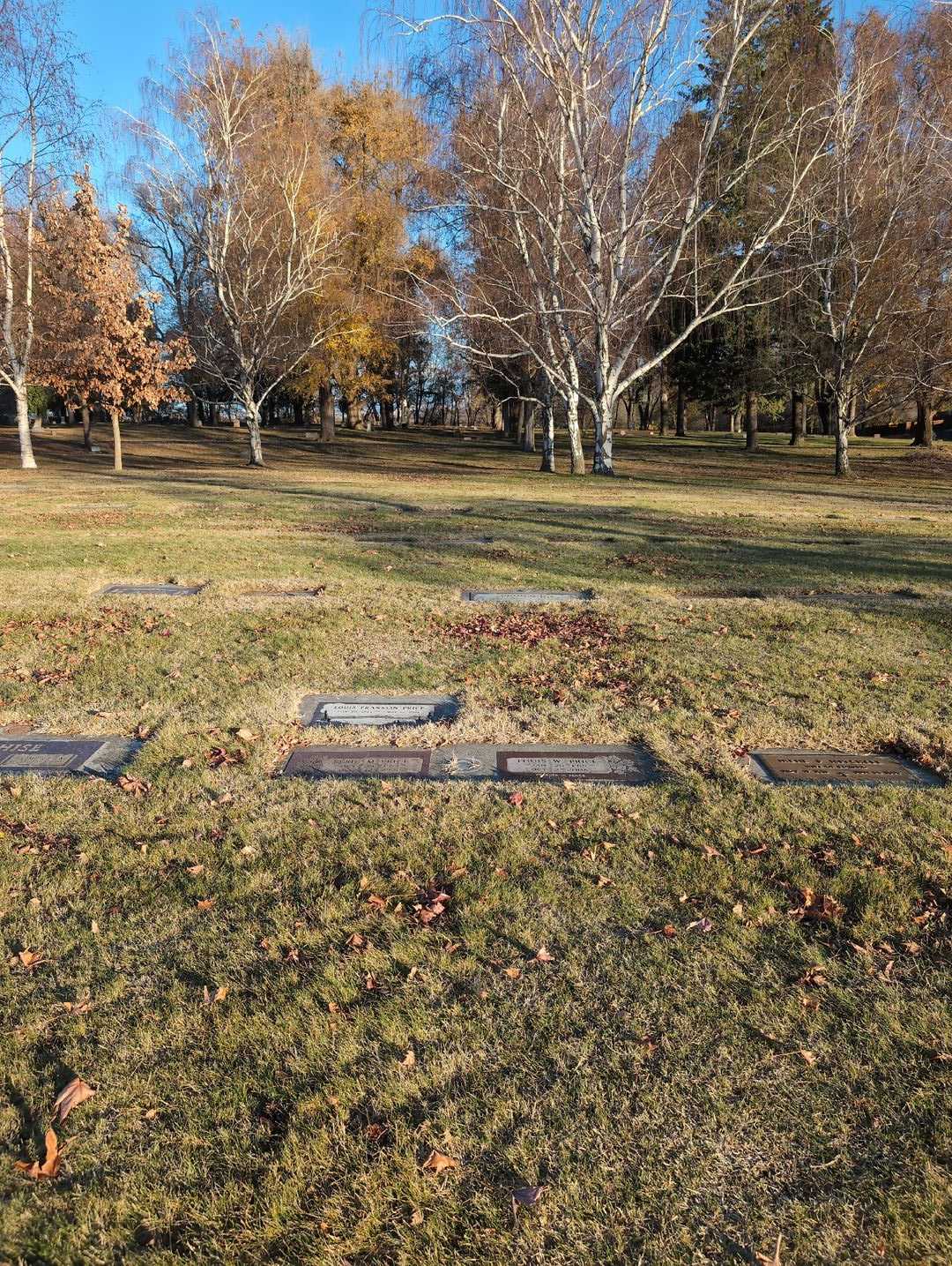 Louis Franklin Price's grave. Photo 2