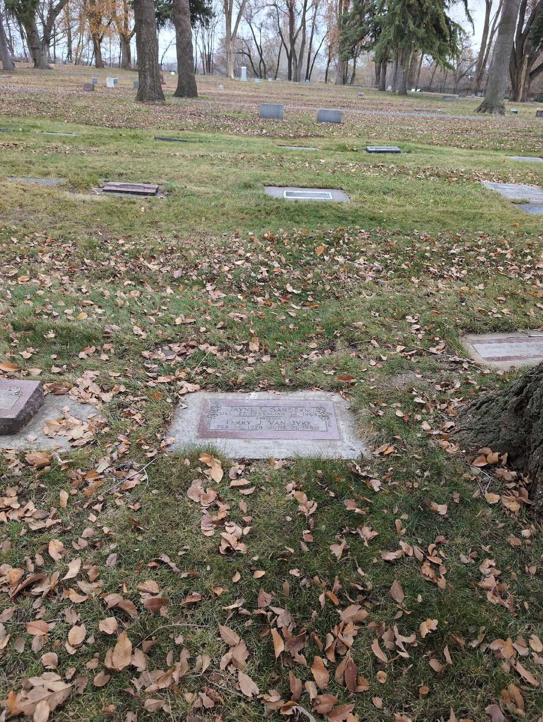 Terry James Van Dyke's grave. Photo 2