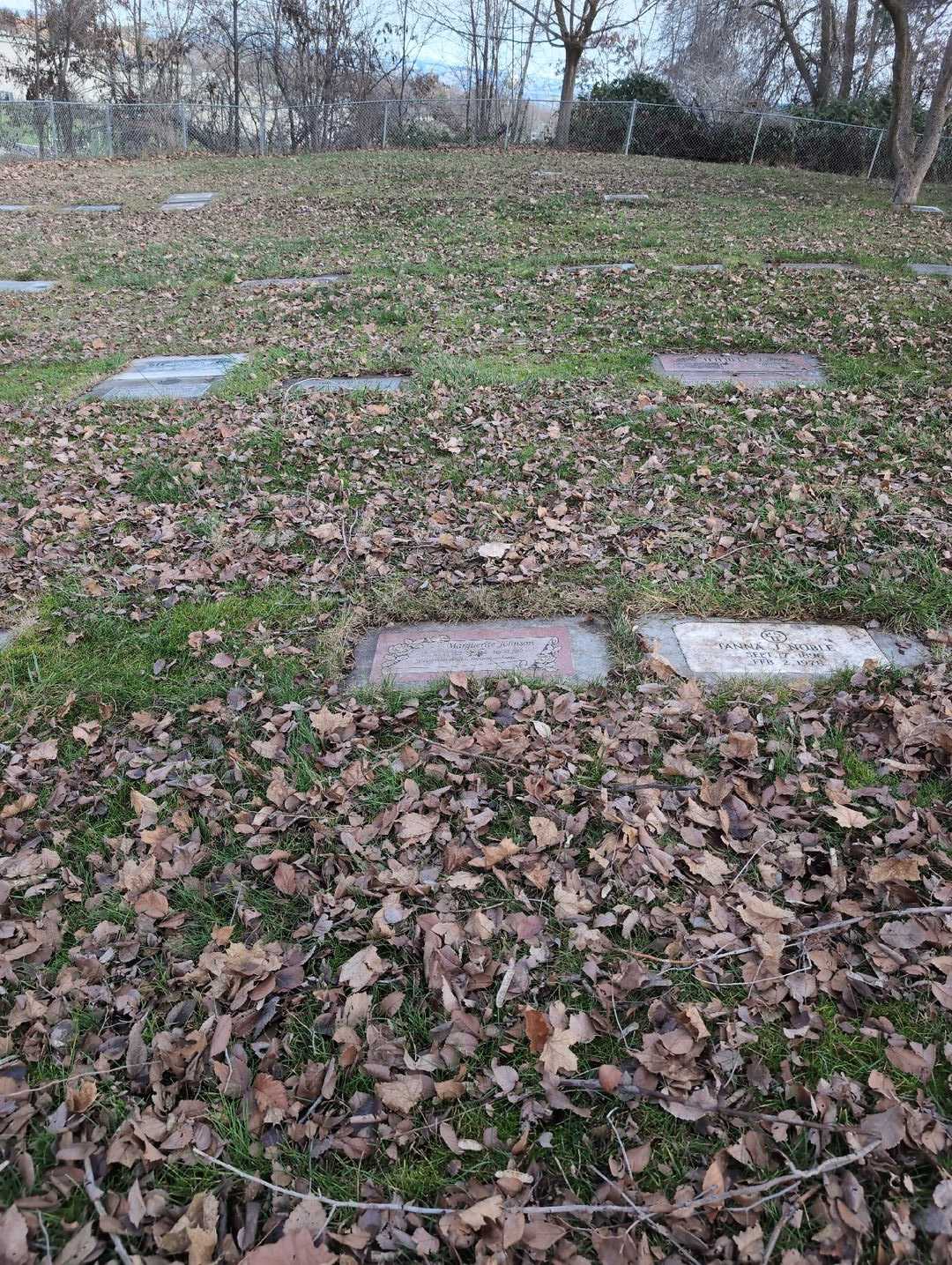 Marguerite Johnson's grave. Photo 2