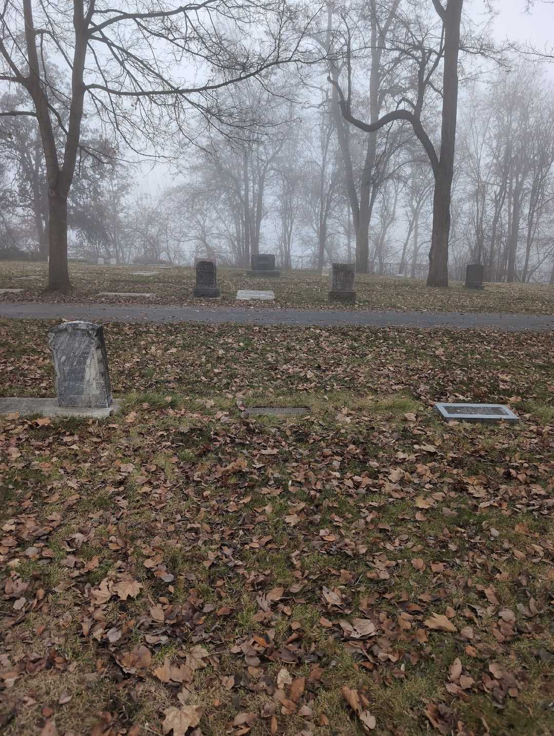 Carrie Andrews's grave. Photo 2