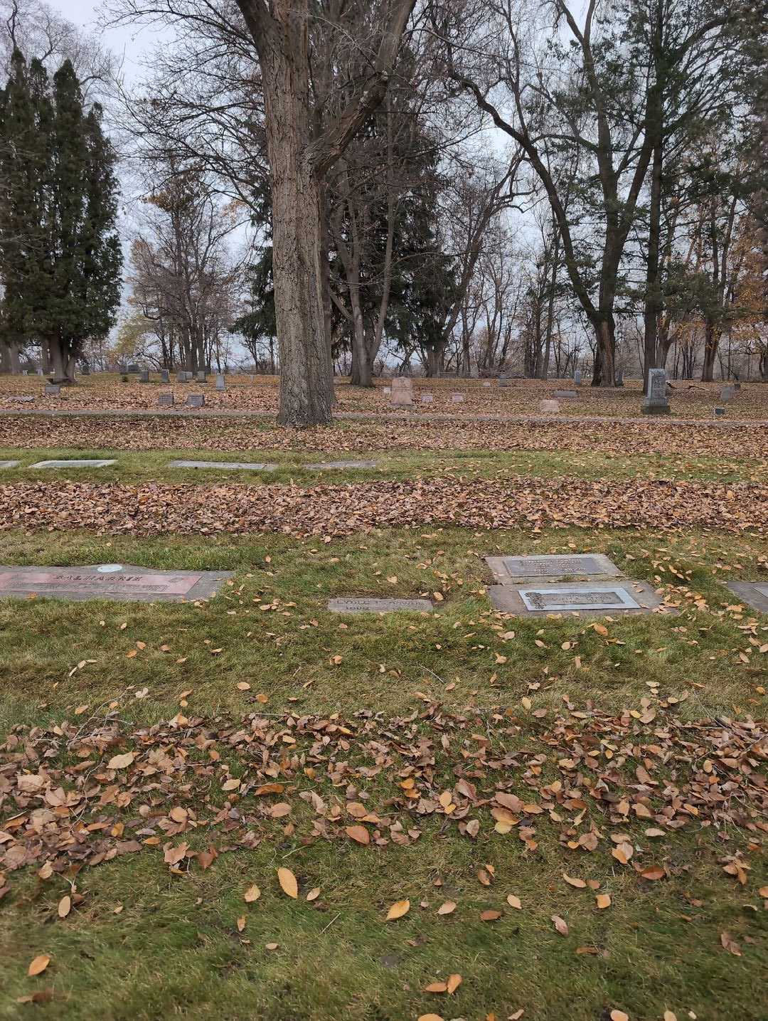 Lysle Frank Downs's grave. Photo 2