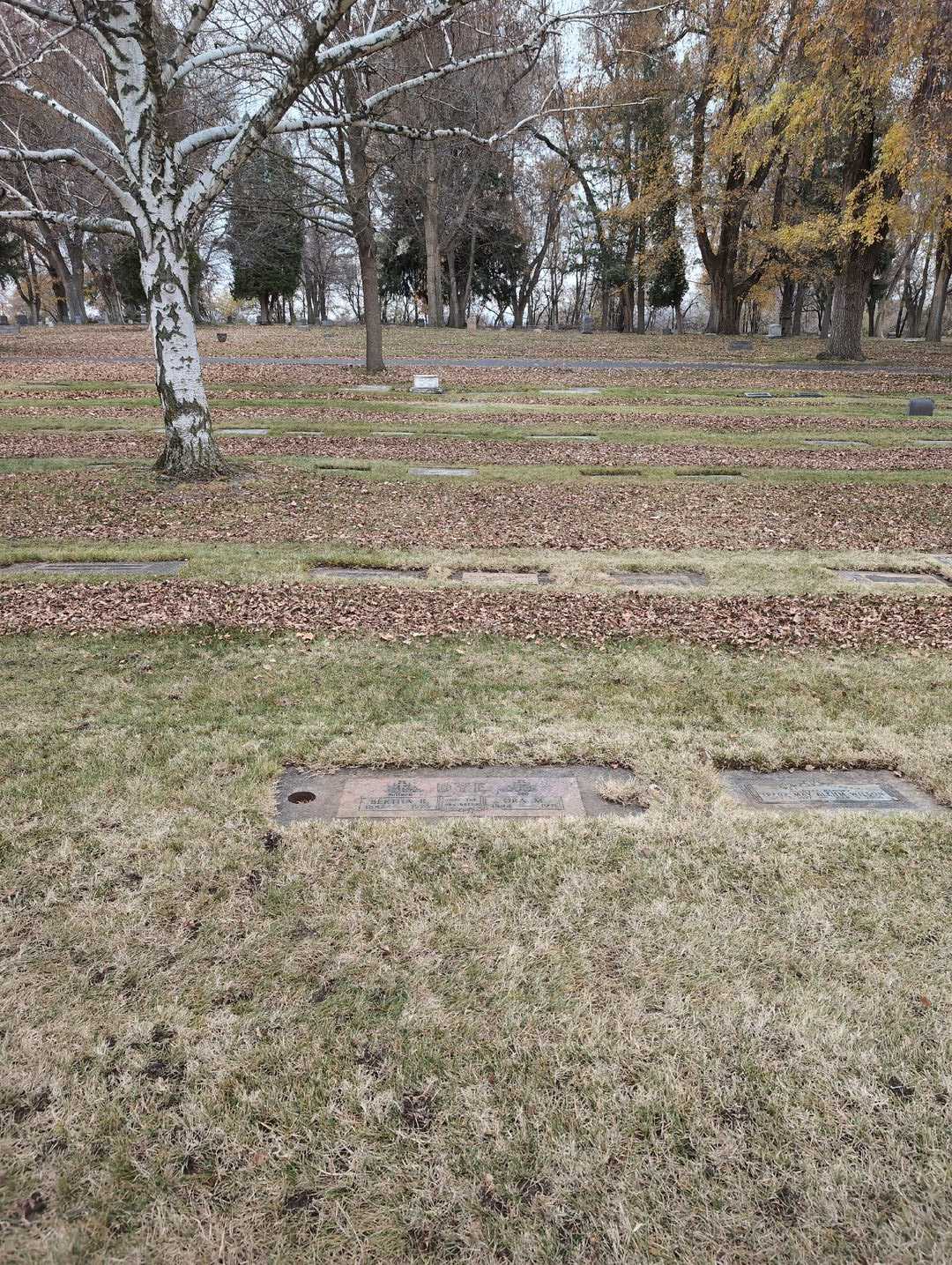 Ora M. Dye's grave. Photo 2