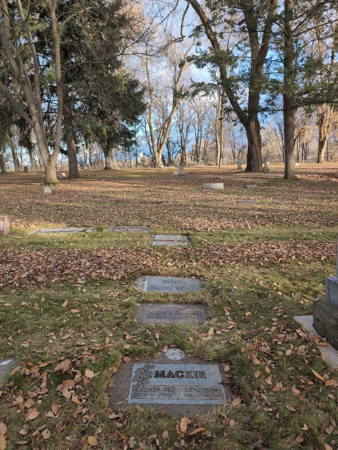 James Thomas Hall's grave. Photo 2