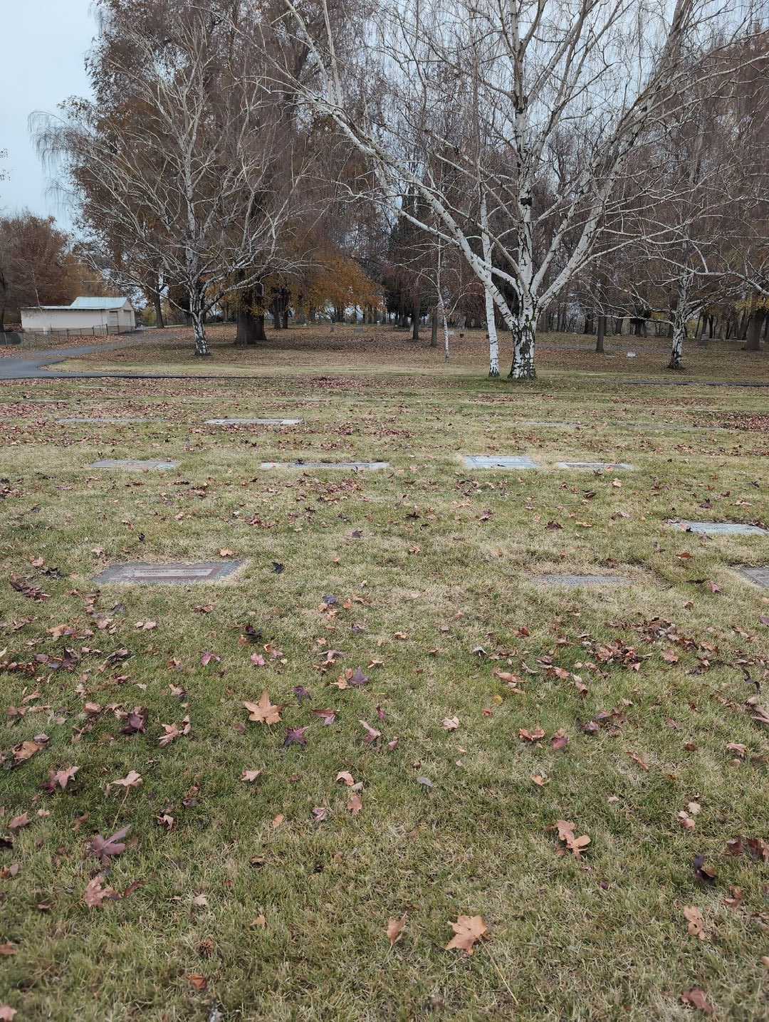 Criston "Cris" LeWayne Rowell's grave. Photo 2