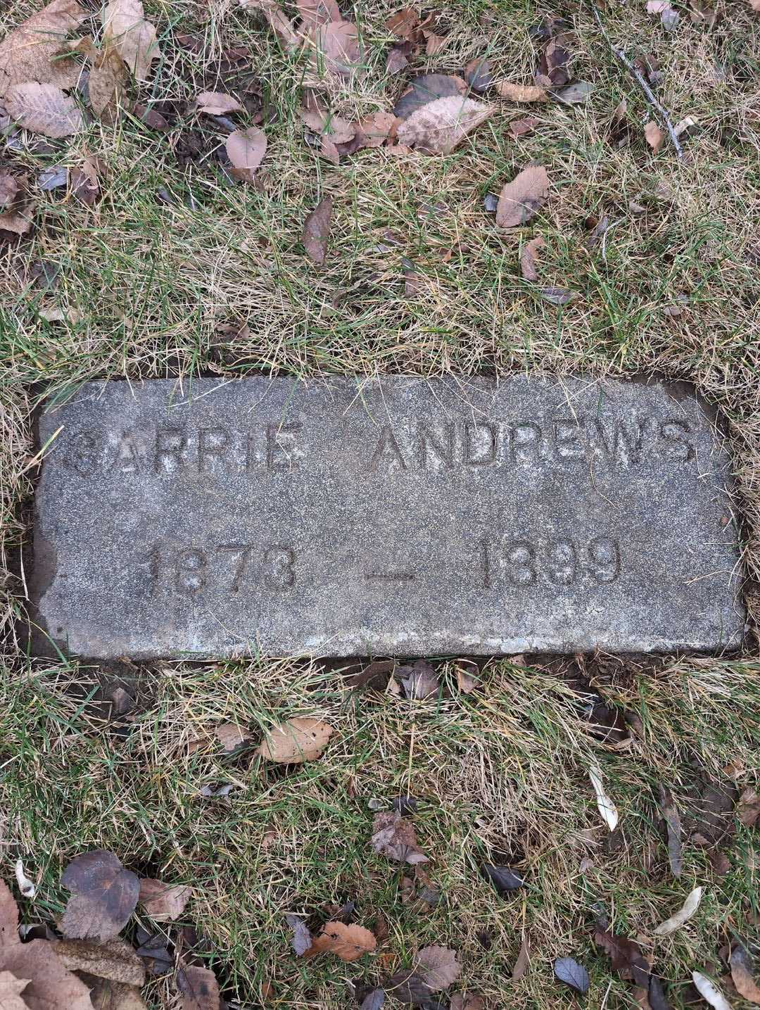 Carrie Andrews's grave. Photo 3