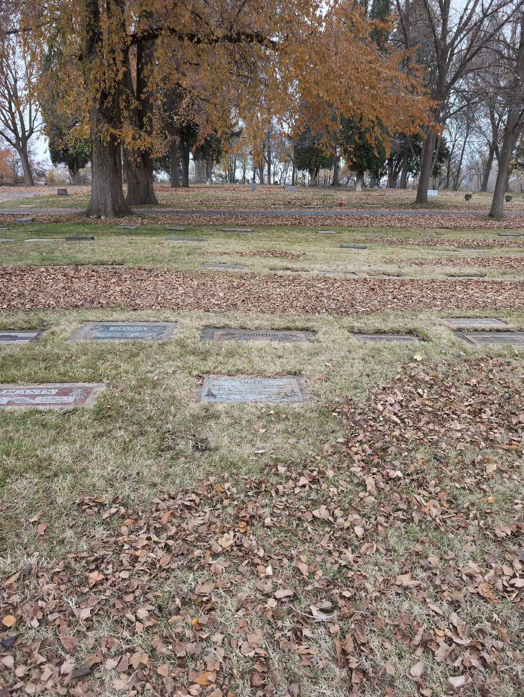 Warren Milton Smith's grave. Photo 2