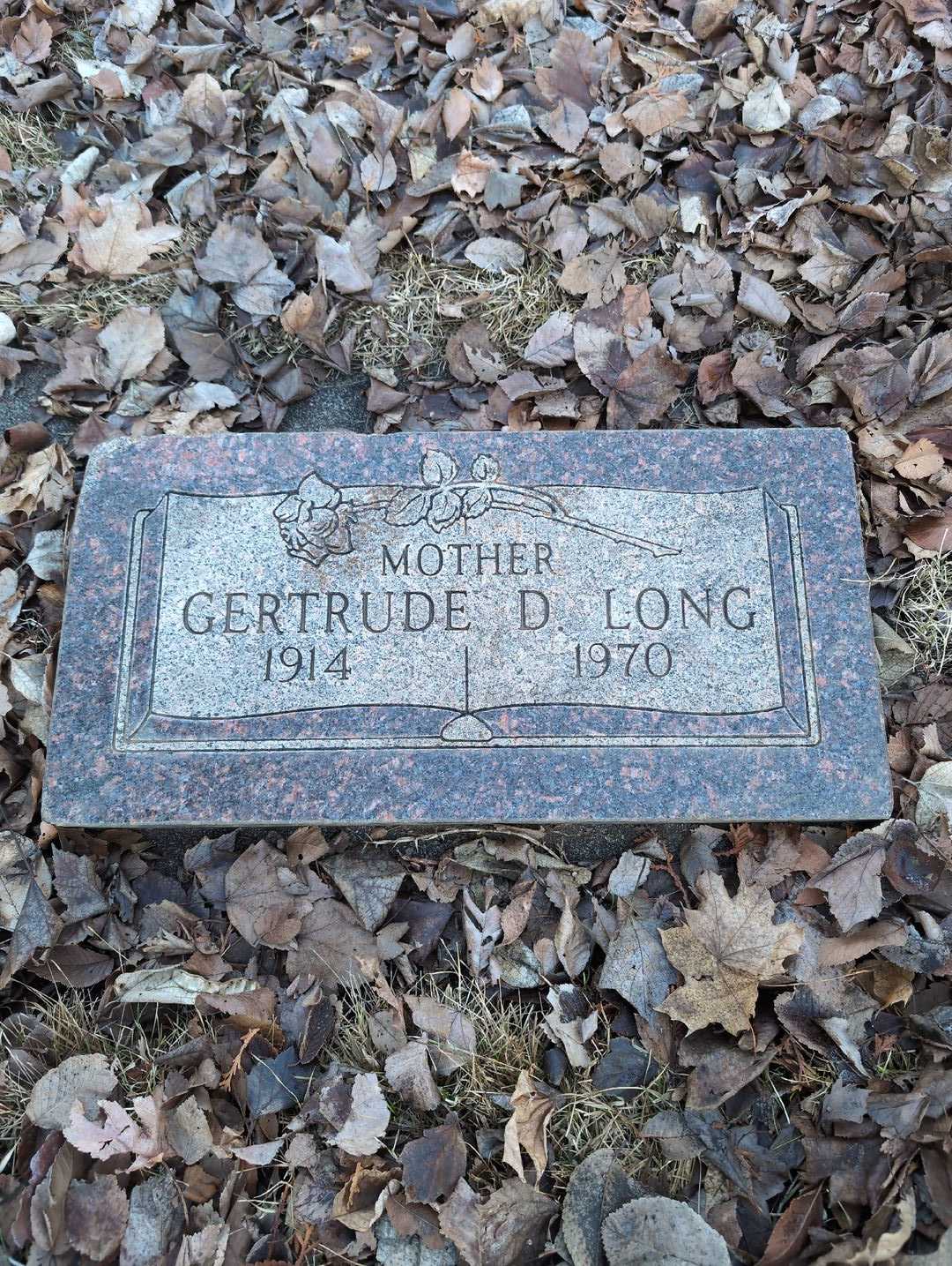 Gertrude D. Long's grave. Photo 3