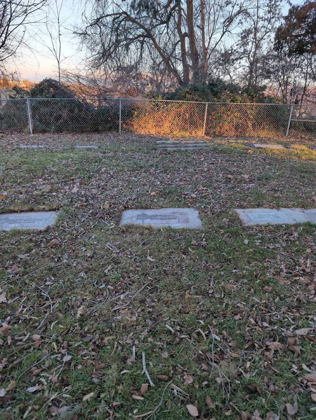 Otto Bohlman's grave. Photo 2