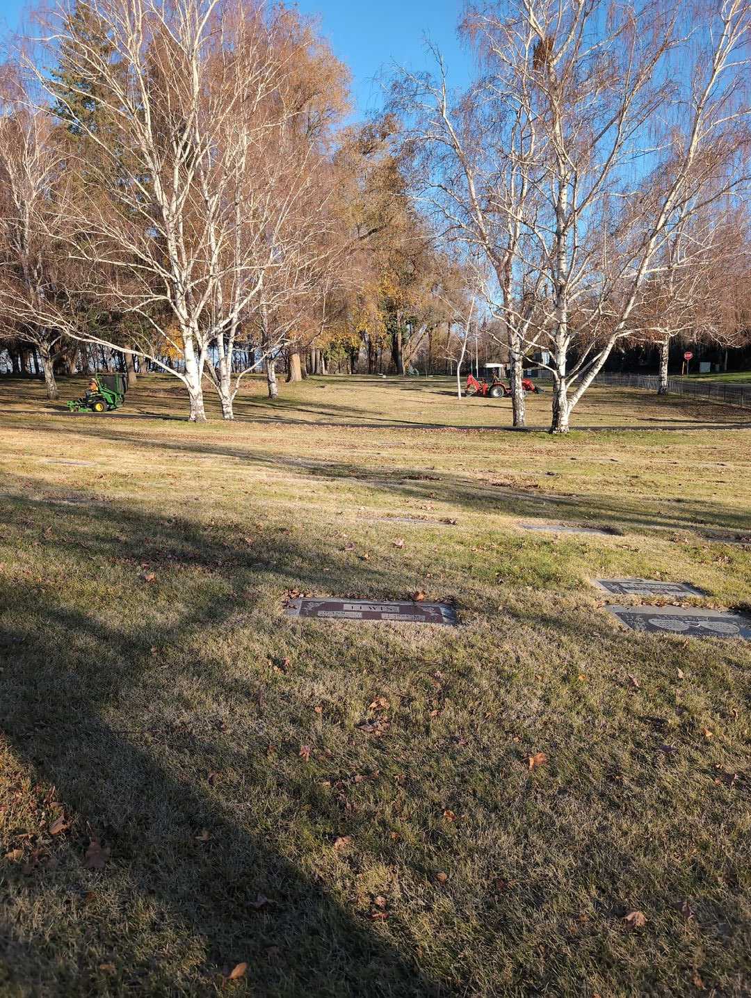 Larry M. Lewis's grave. Photo 2