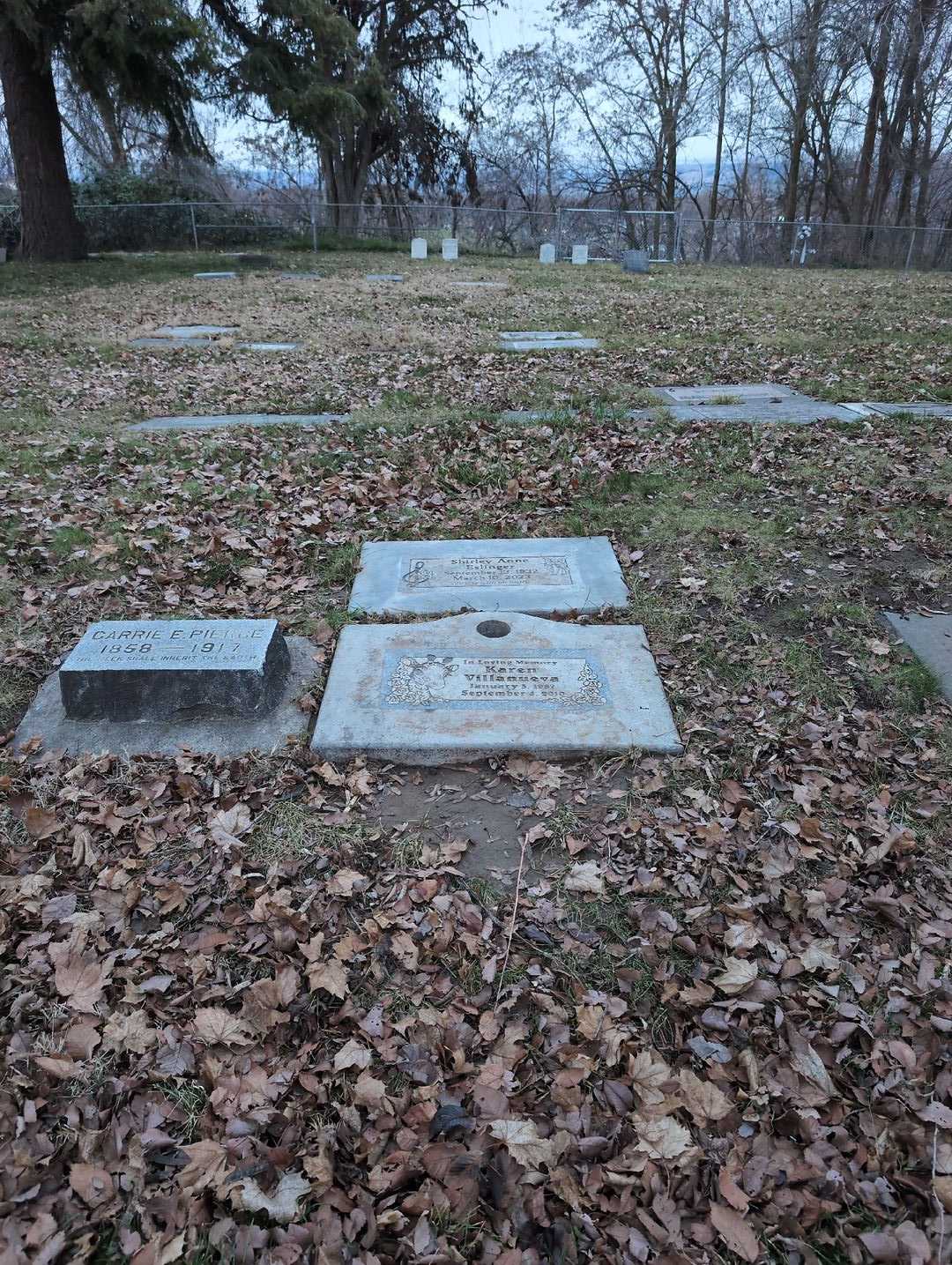 Robert Allen Willingham's grave. Photo 2
