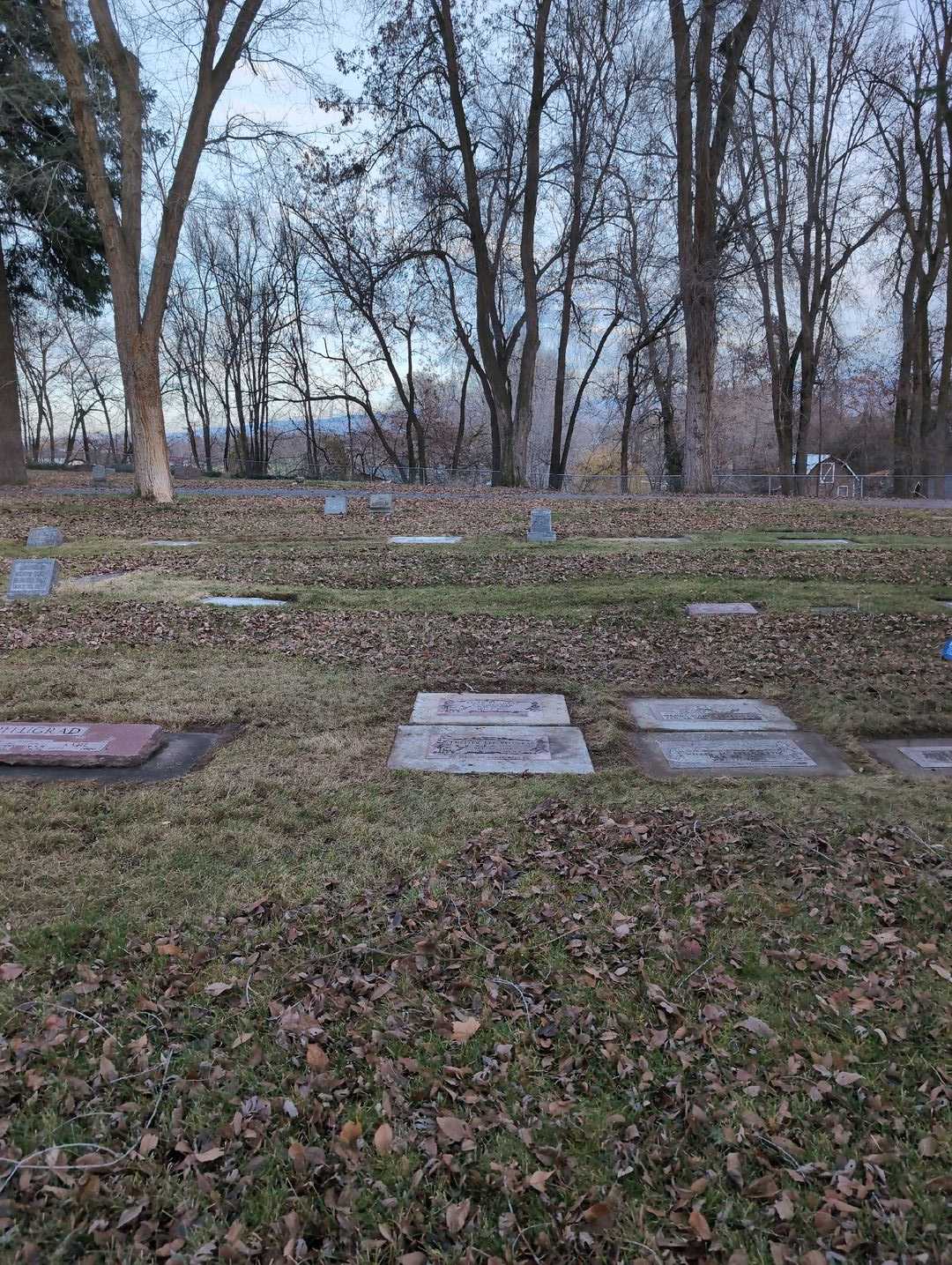 Ellen Pflugrad Cunningham's grave. Photo 2