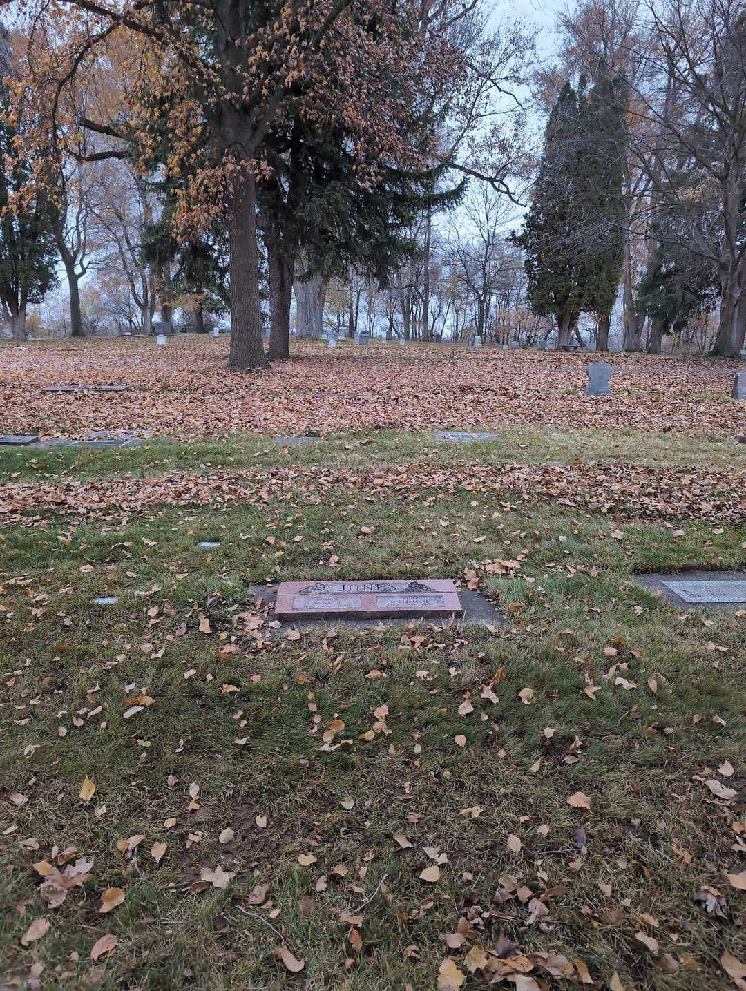 William H. Jones's grave. Photo 2