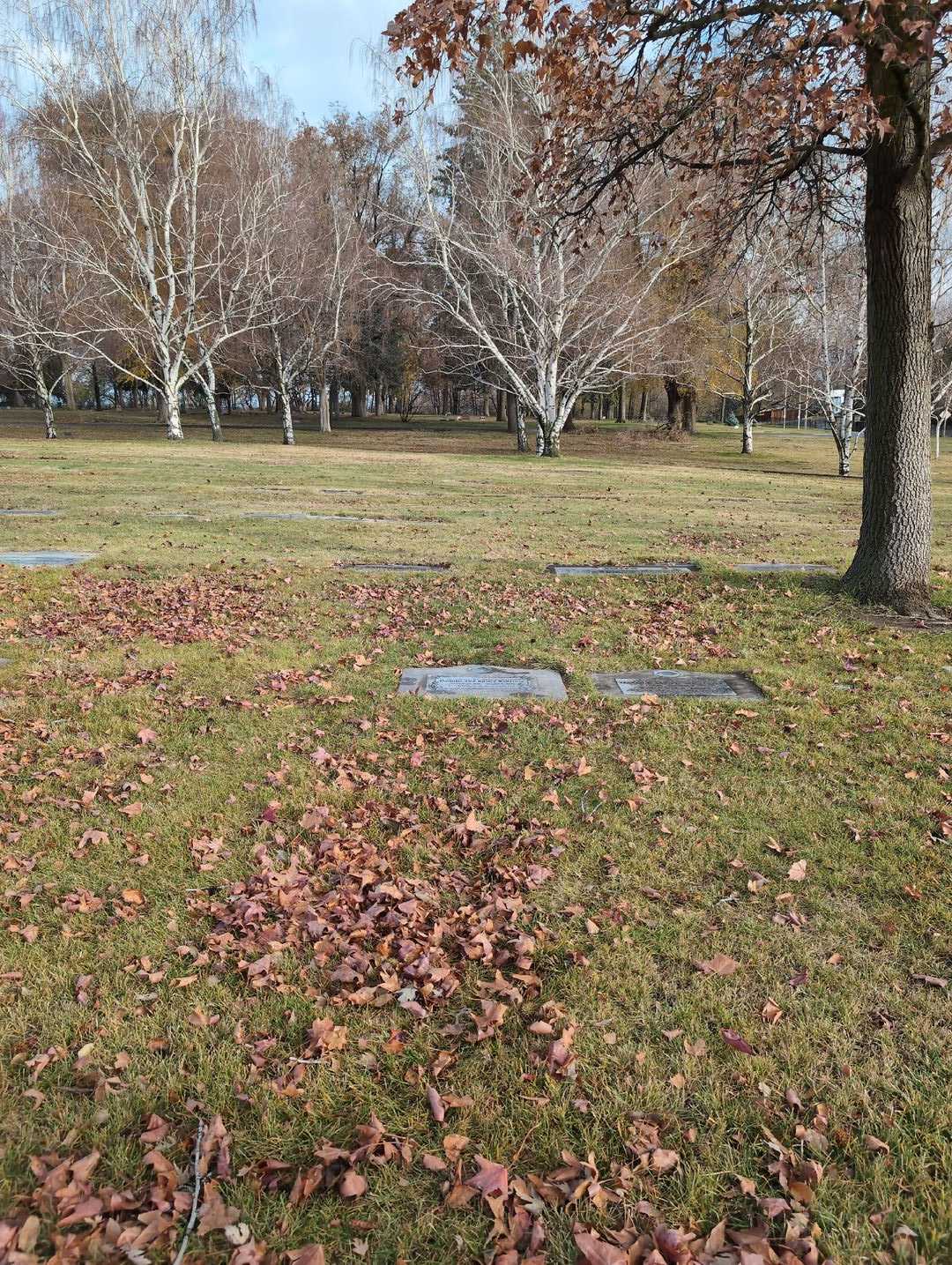 Dorothy Ann Rasley Williams's grave. Photo 2