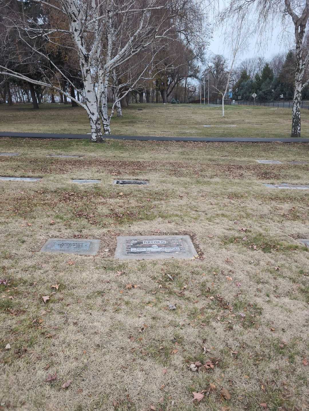 Arthur R. Brown's grave. Photo 2