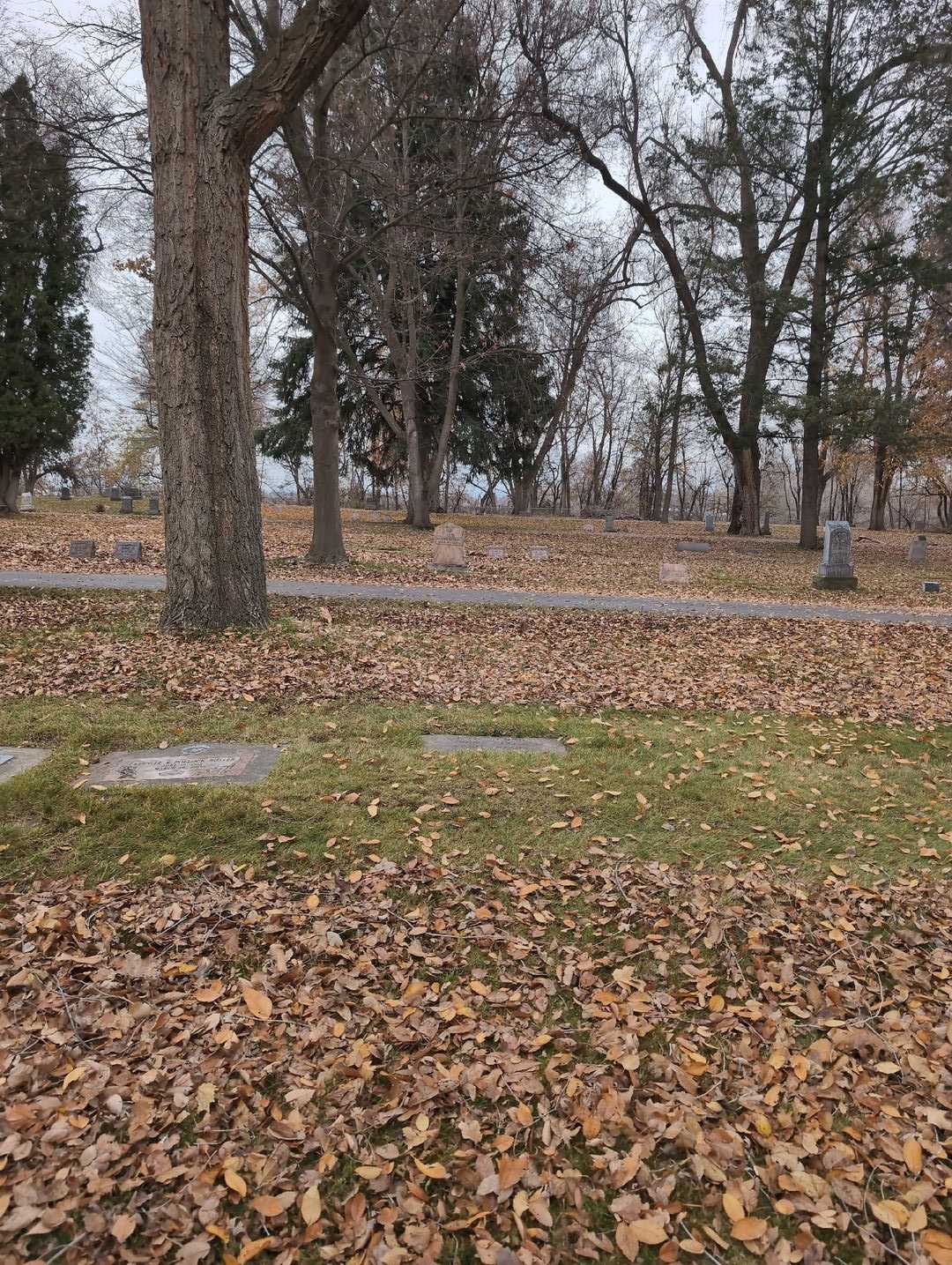 Eva Eder's grave. Photo 2
