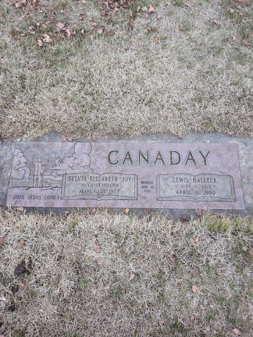 Olive Taylor's grave