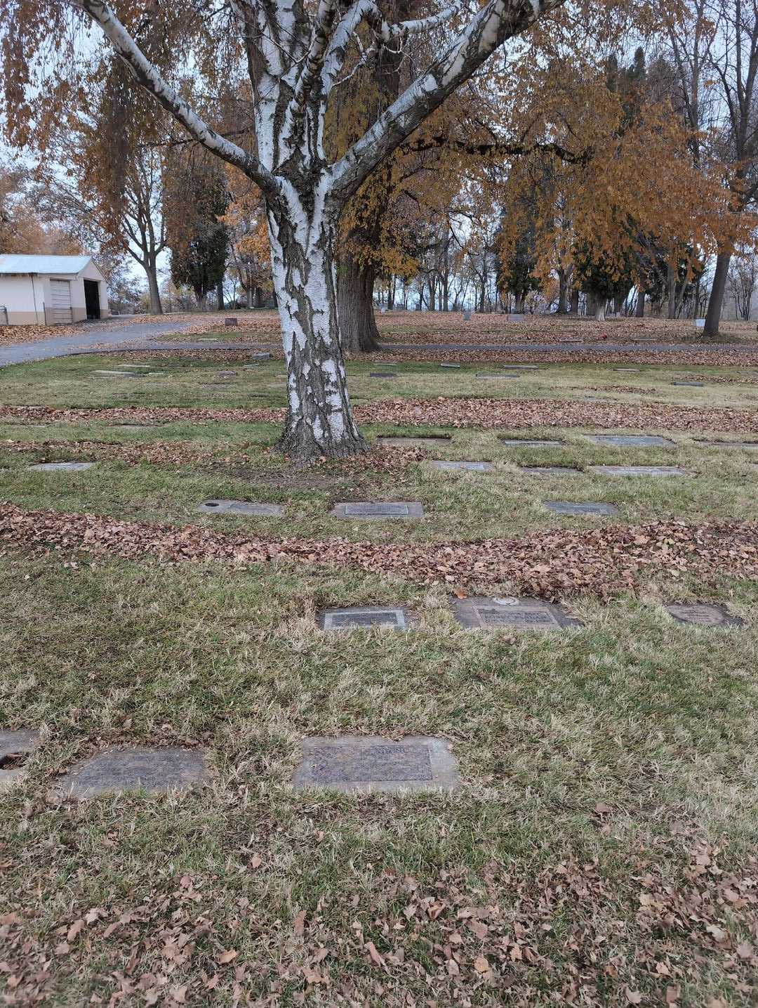 Richard H. Ziegele's grave. Photo 2