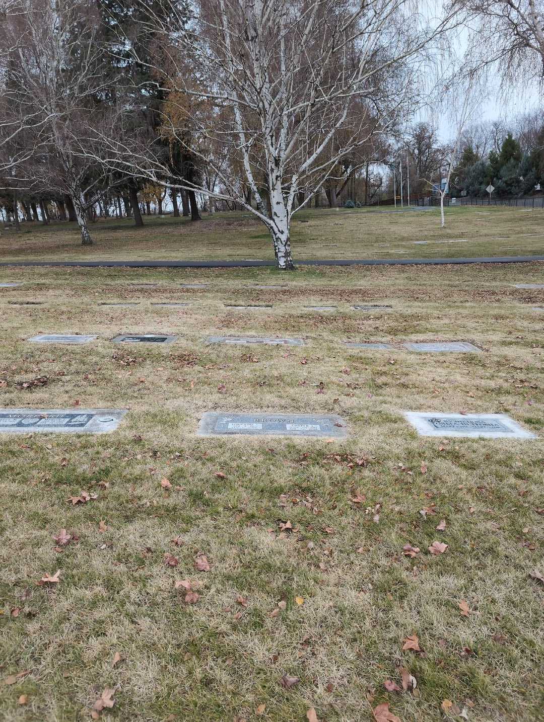 Lorraine C. Brown's grave. Photo 2