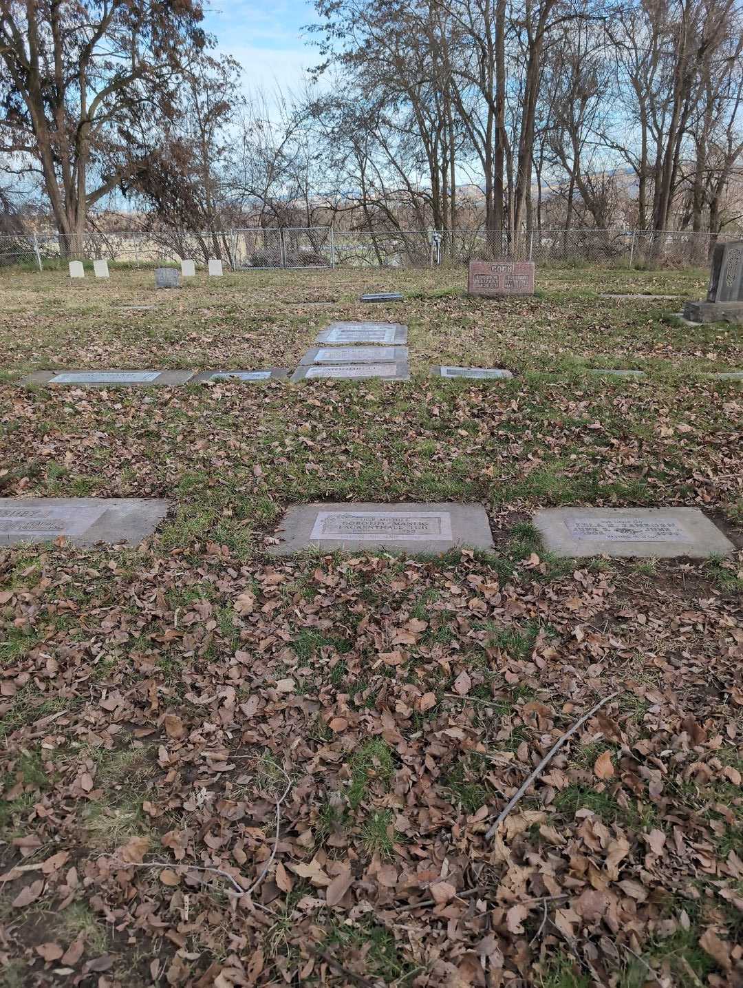 Dorothy I. Manlig Fackenthall Tuil's grave. Photo 2