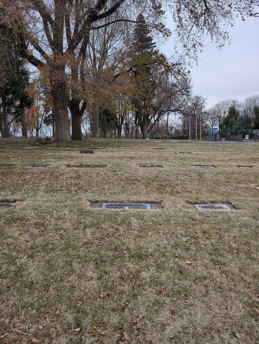 Mamie Packard's grave. Photo 2